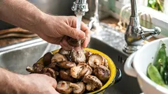 きのこの正しい洗い方:食感と炒め時間に影響するポイント