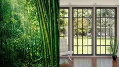 ガラスはもう必要ない？中国で透明な竹の窓がテスト中