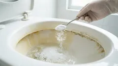 トイレの臭いや汚れを取り除く、簡単な夜の習慣