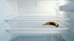 空の冷蔵庫は問題を解決しない:無駄に排除した食品