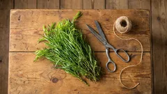 この香り高いハーブは料理の味を劇的に変えますが、その使い方はしばしば間違っています。